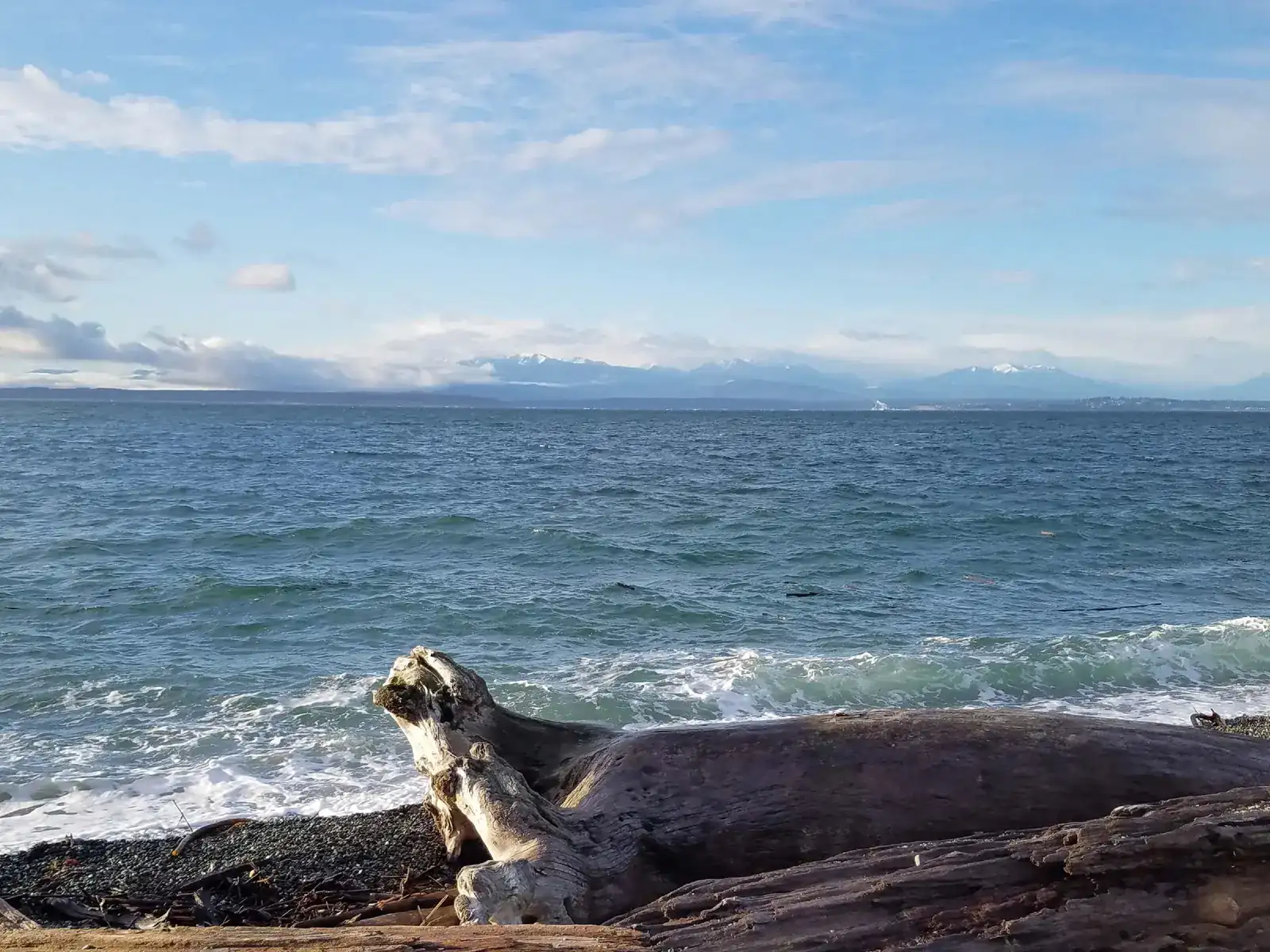 Puget Sound shoreline with the mountains beyond