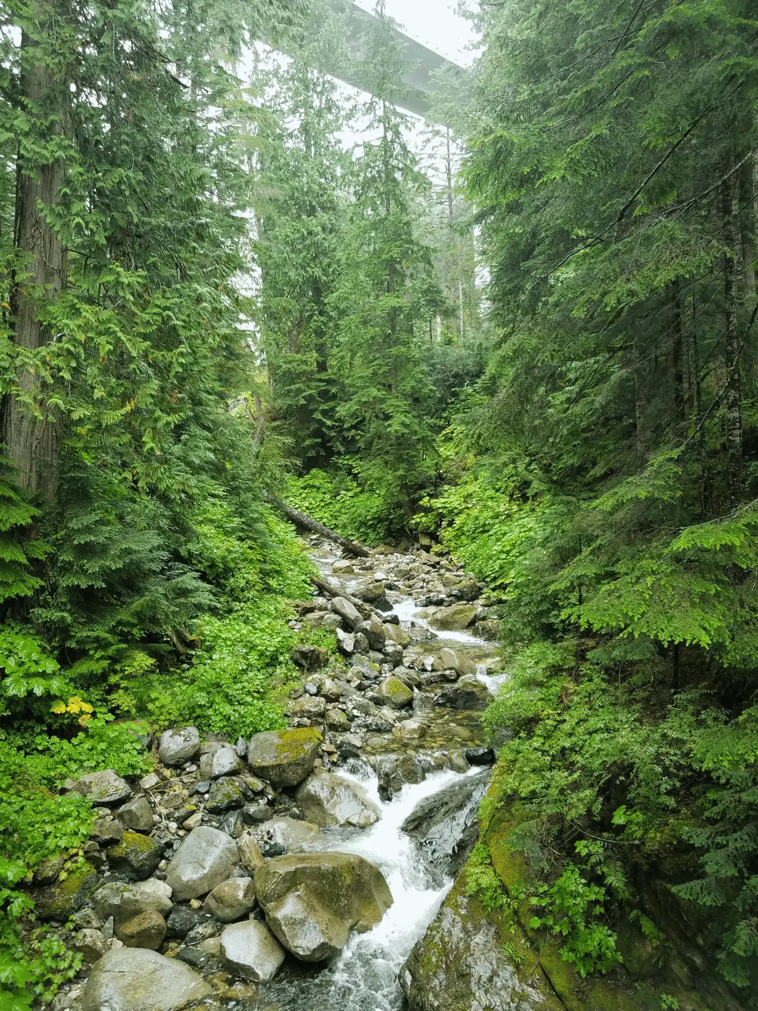 A calm natural scene